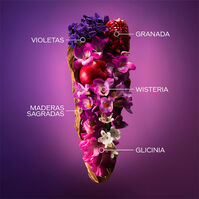 GINZA MURASAKI  90ml-203661 GINZA MURASAKI  90ml-203661 3